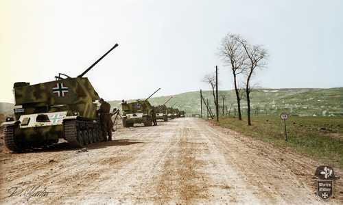 Hungarian 40M Nimrod Anti-Aircraft Guns