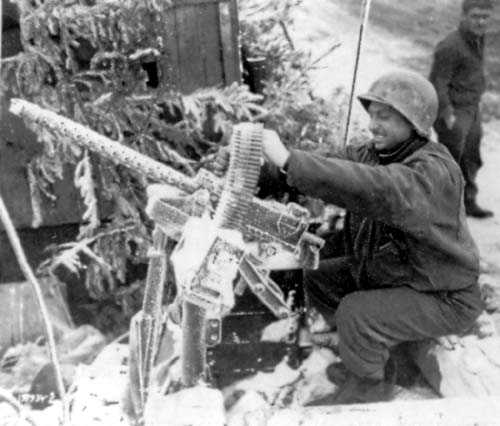 Snow &amp; frost-covered Browning