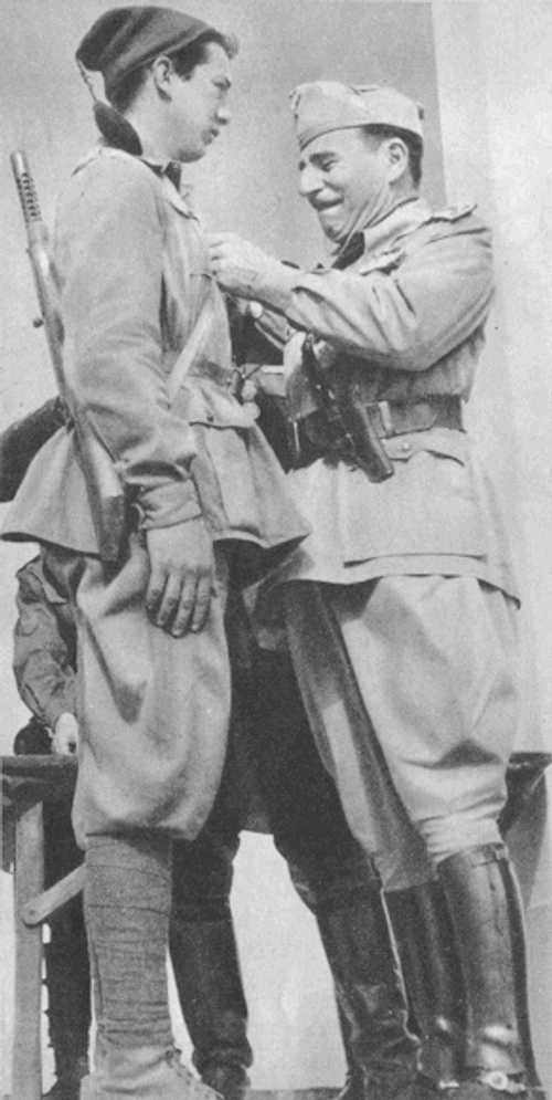 Decoration for a Young Fascist