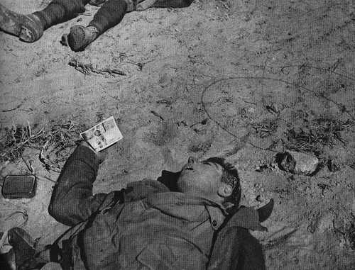 Italian casualty in North Africa