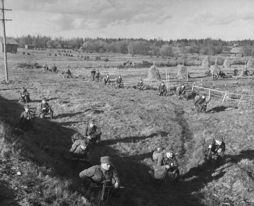 Finnish infantry