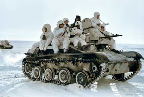 Red Armys tankborne infantry on the Bryansk front 