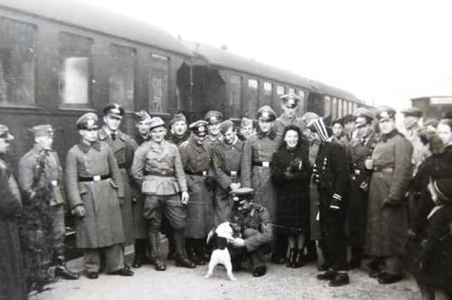 Busy train station 
