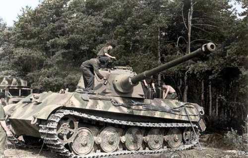 Tiger2