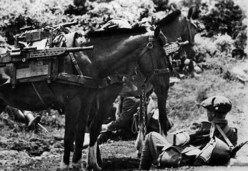 Romanian Mountain Hunters. Nalchik, Caucasus, 1942