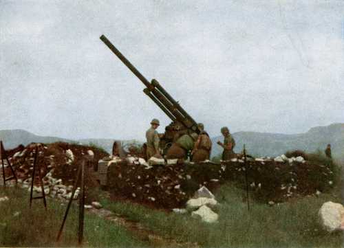 Hungarian 29 M (Bofors) AA gun in firing position