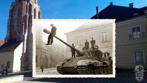 King Tiger in Hungary