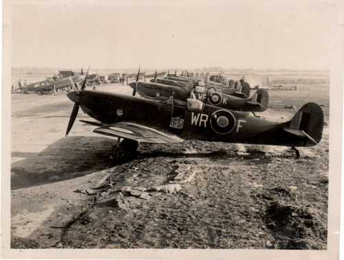 South African Air Force 40 Sqn Spitfires