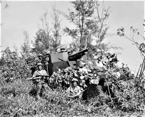 Camouflaged Marine Guns