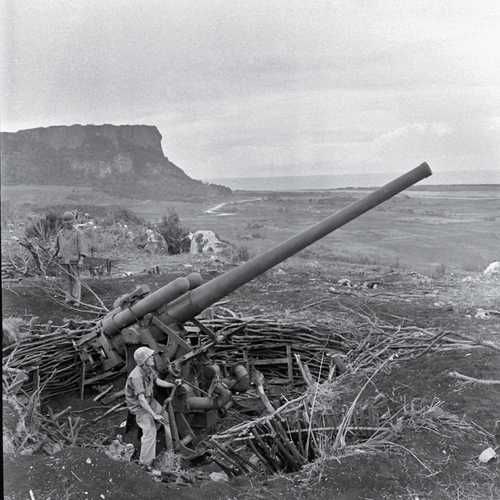 Artillery Rifle