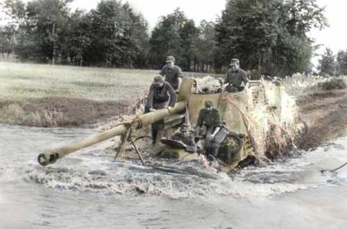 Nashorn