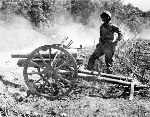 Captured mountain gun