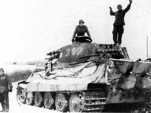 U.S King Tiger
