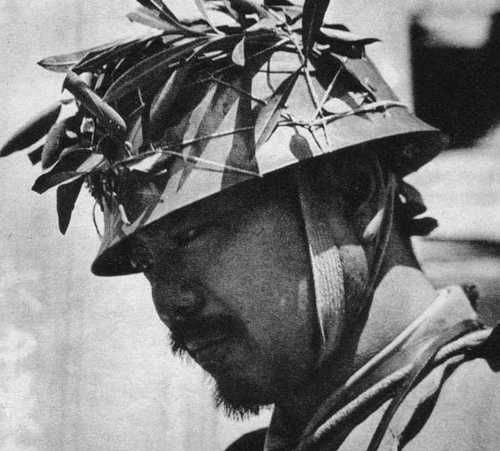 Helmet camouflage
