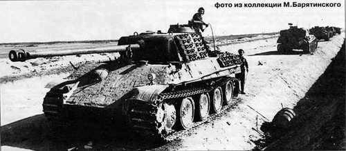 These Panthers were abandoned