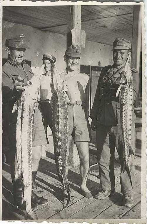 Nice catch