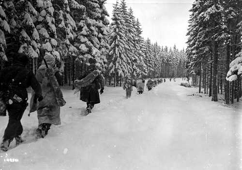 Snow and cold in the Ardennes