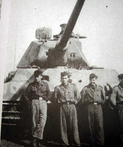 Tiger B