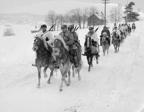 Cavalry