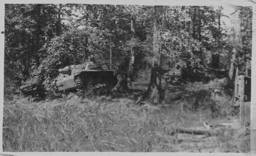 Two Stugs and Canadian Sherman
