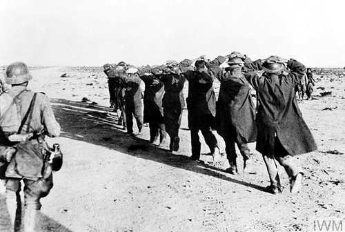 In the sands of North Africa