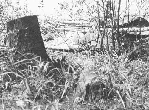 Sniper