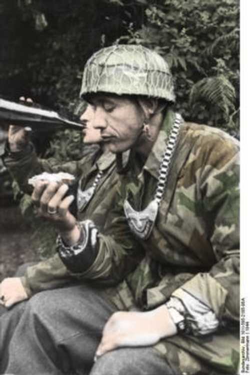 Kettenhund