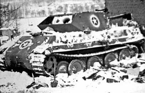 Panther in disguise 