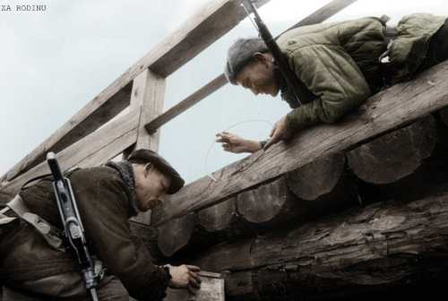 The Partisans