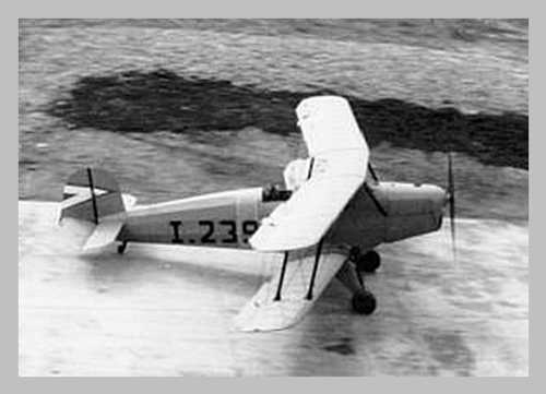 German Bücker Jungman Trainer in Hungary