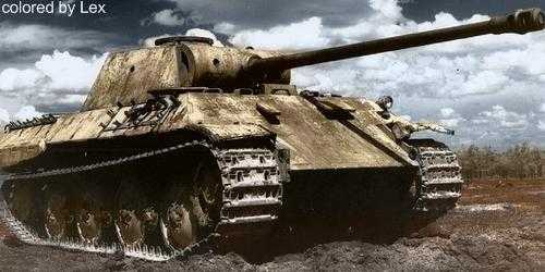 Panther
