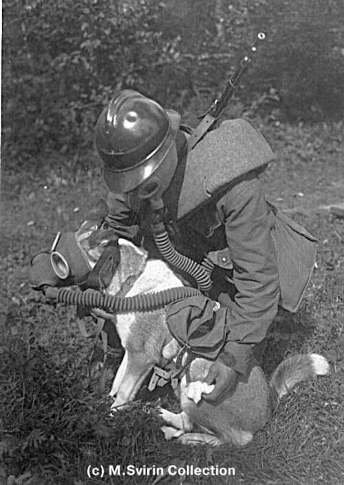 Soviet Soldier with Dog
