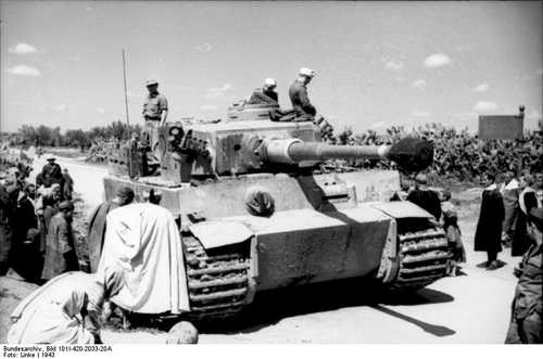 Tunisia Tiger.
