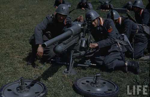 Italian Military exercise 