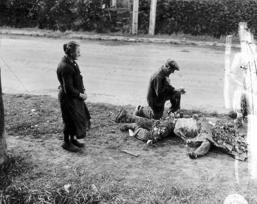 Flowers for the Dead 