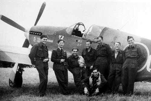 Division 315 ‘Dębliński’ (Polish)