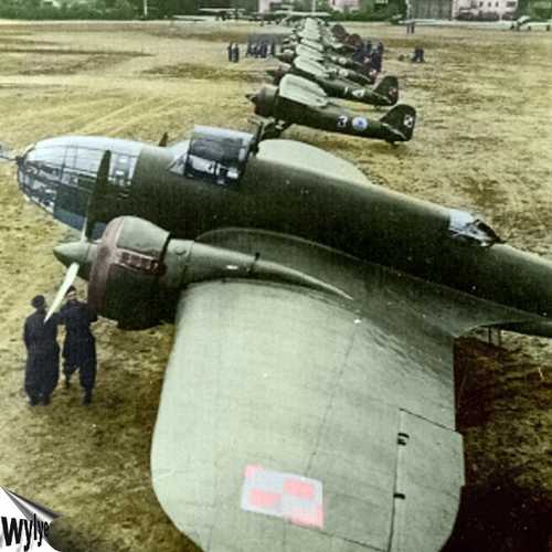Łoś
