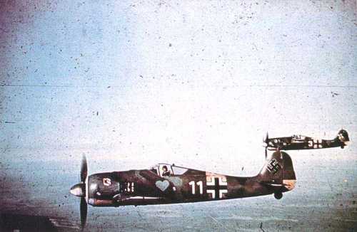 JG54 in flight.