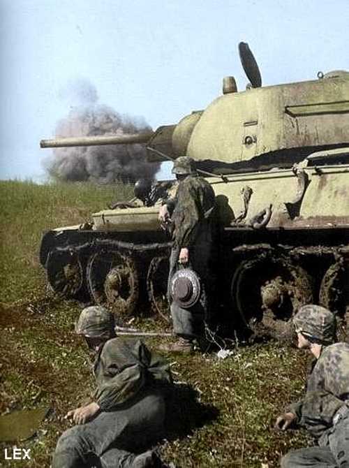 8 SS division