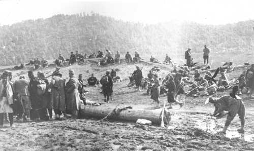 Battle of Sutjeska 