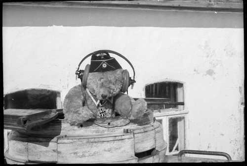 Cosselbär