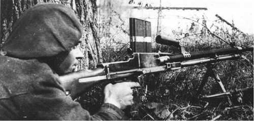 Romanian Mountain hunter waiting.