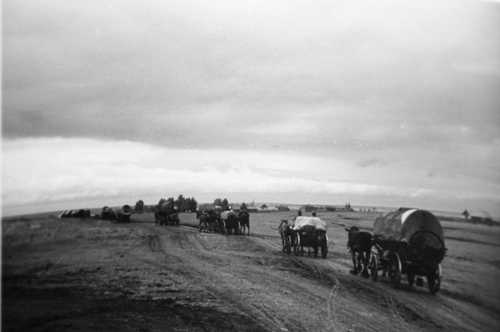 Wagon train in the east. 