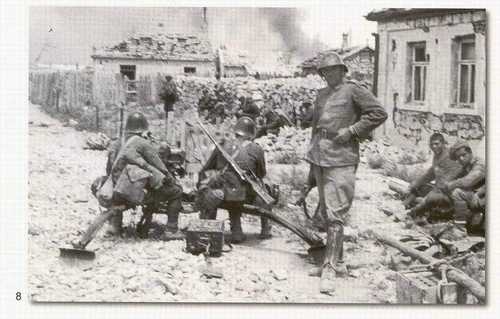 Mountain troops