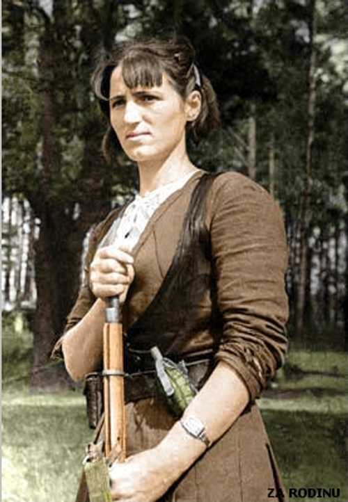 Partisan