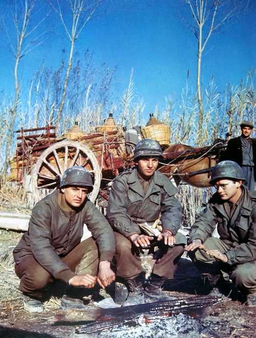 85th ID Italian front