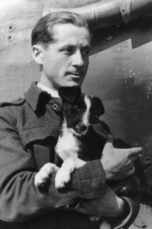 Division 317 ‘Wileński’