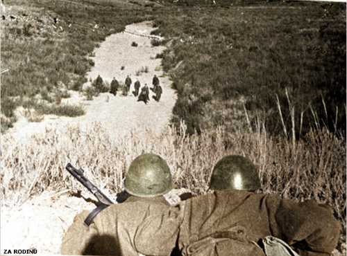 Stalingrad 1942