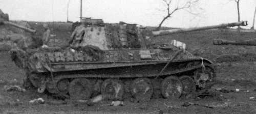 Close up of the "Panther G D-cup"