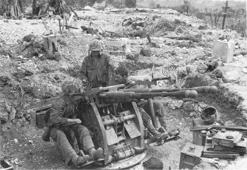 Captured Japanese Type 96 25-mm